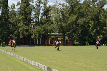 Argentine, province de Buenos Aires, San Antonio de Areco, estancia La Bamba de Areco, match de polo