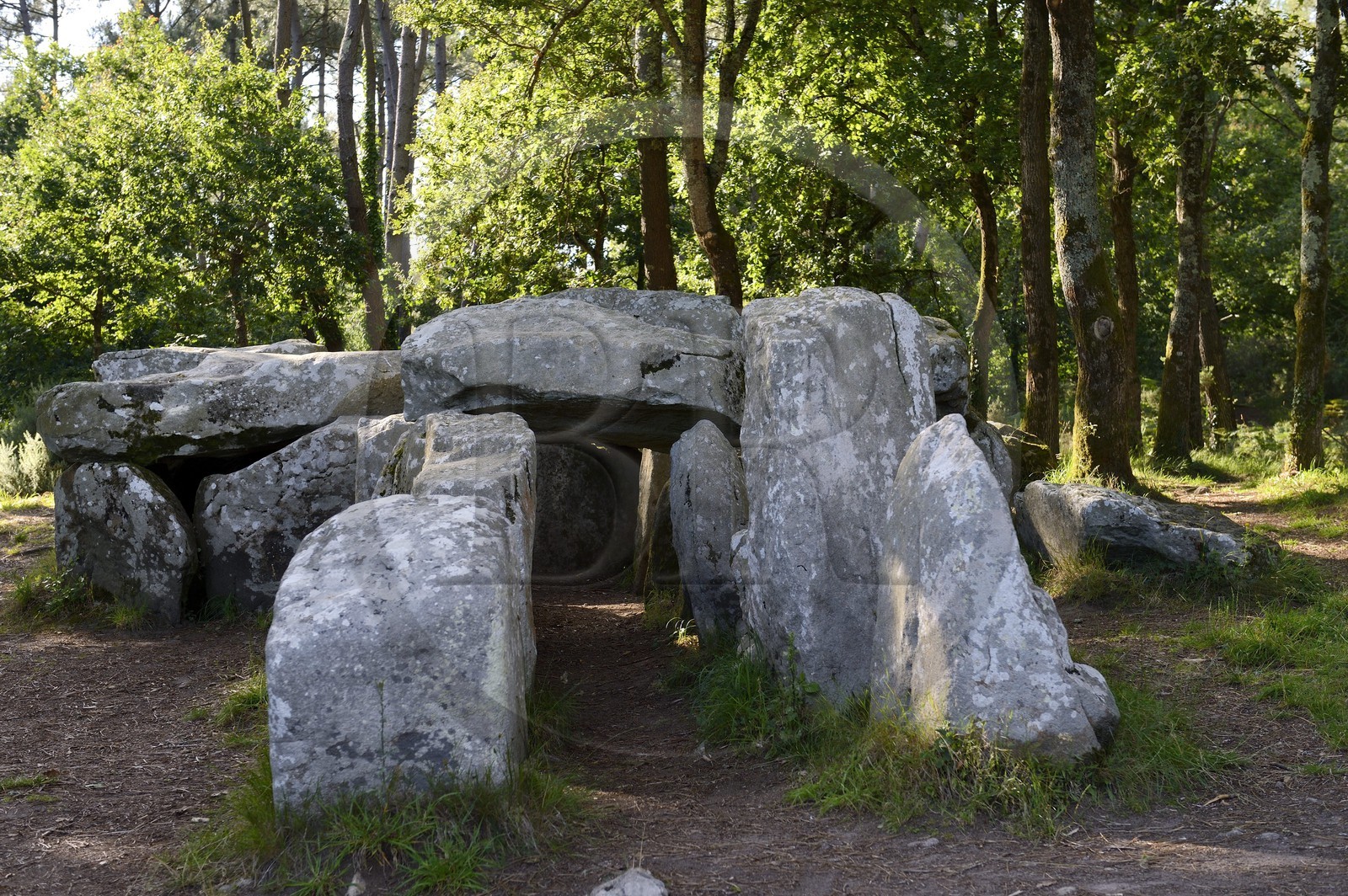 France, Morbihan (56), Erdeven, le Dolmen de Mané-Croc'h