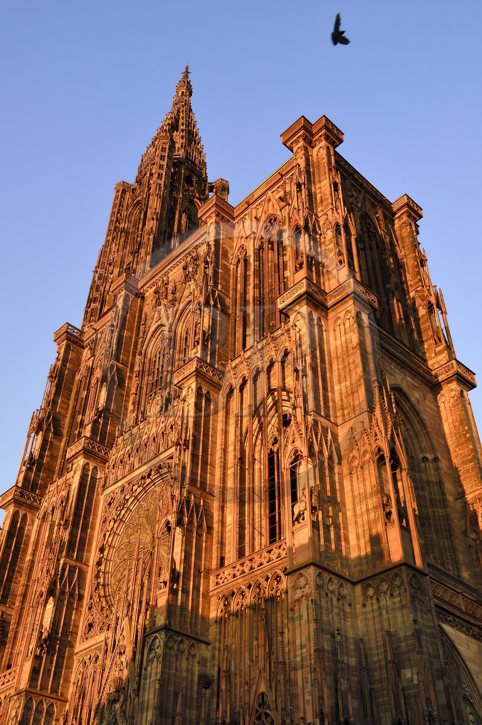 France, Bas Rhin, Strasbourg, old town listed as World Heritage by UNESCO, the Notre Dame Cathedral