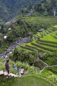 Philippines, province d'Ifugao, les rizières en terrasses de Banaue, classées Patrimoine Mondial de l'UNESCO, une famille rejoint le village de Cambulo