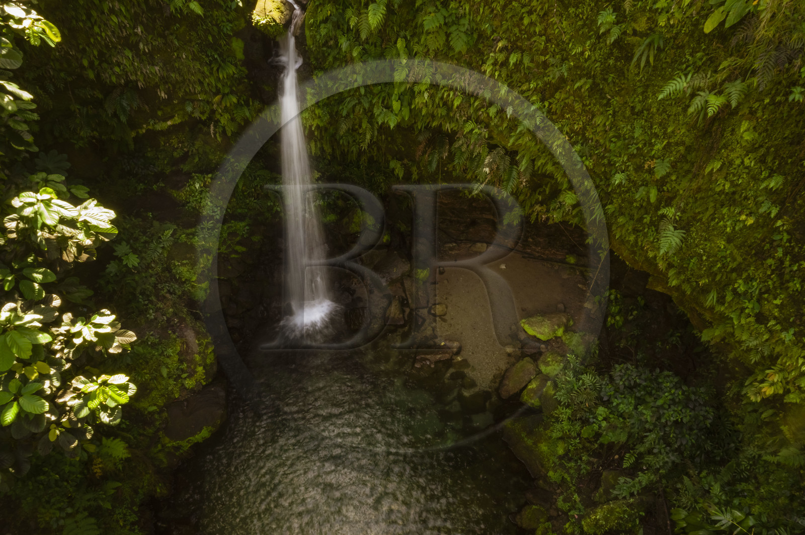 Caraïbes, Ile de la Dominique, Castle Bruce, Parc national du Morne Trois Pitons classé Patrimoine Mondial de l'UNESCO, dans le sous-bois tropical, le bassin d'émeraude (Emerald Pool) et sa cascade (vue aérienne)