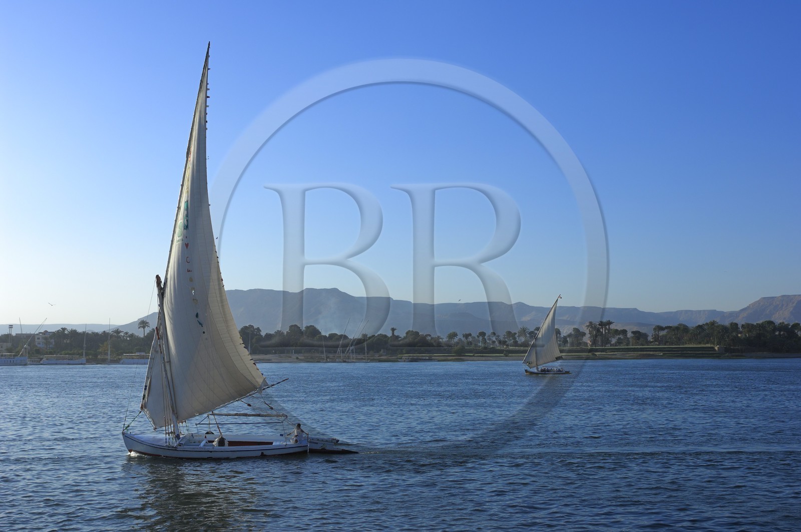 Egypte, Haute Egypte, vallée du Nil, Louxor, felouques sur le Nil