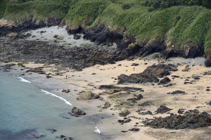 France, Finistère (29), Le Prajou, commune de Guimaec, sentier du GR 34 vers la Pointe de Beg-an-Fry