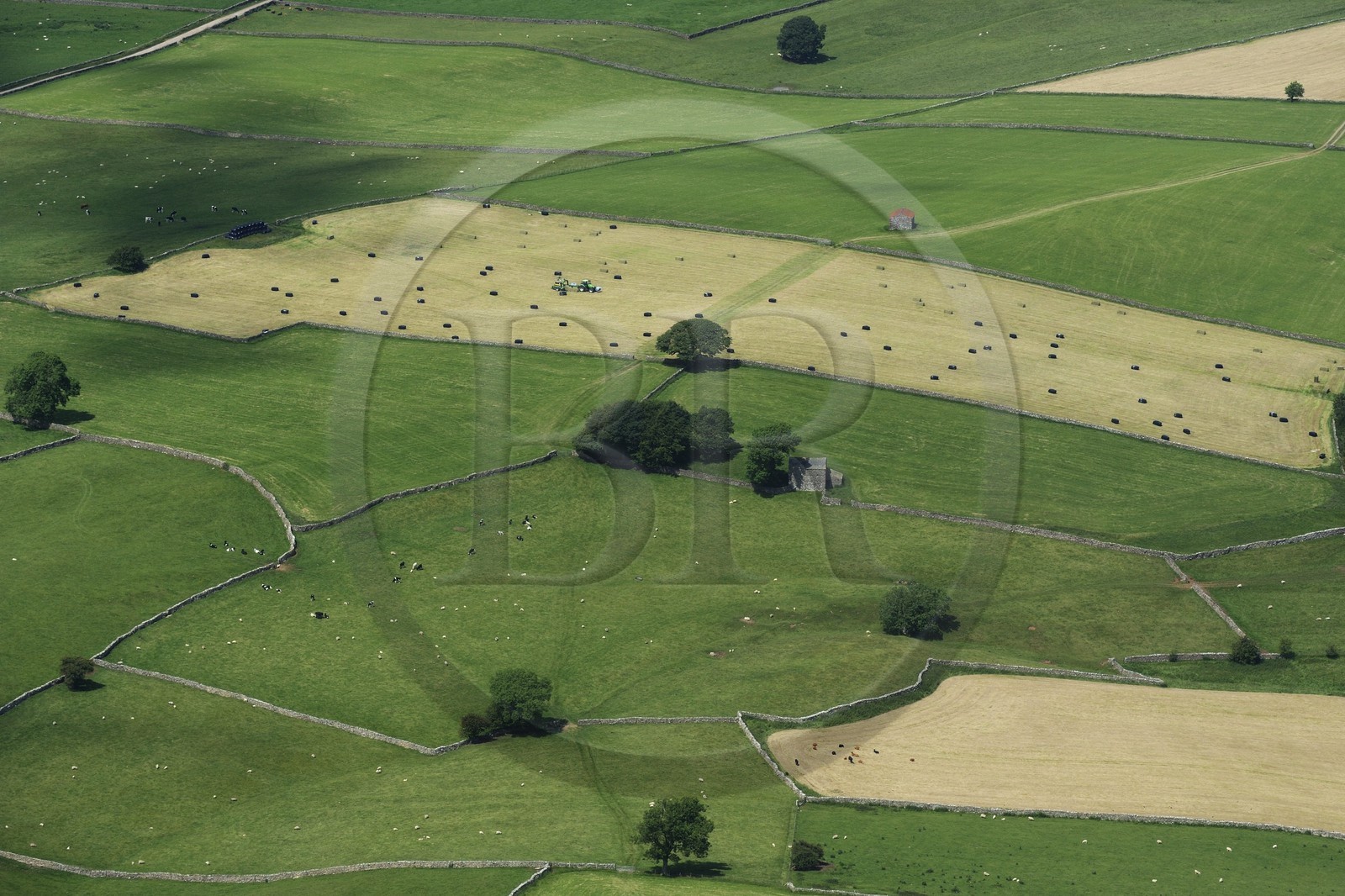 Royaume-Uni, Angleterre, Cumbrie, la campagne au sud de Penrith (vue aérienne)