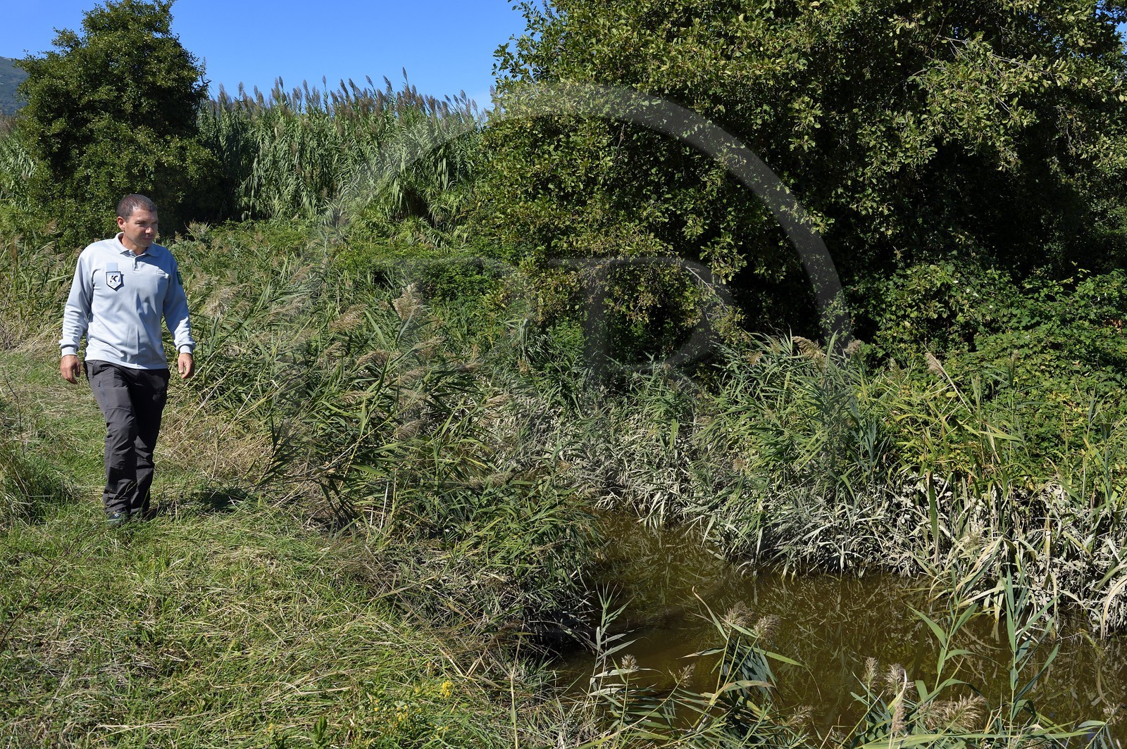 France, Haute-Corse (2B), l'étang de Biguglia (stagnu di Chjurlinu), réserve naturelle de Corse (RNC), le chef de service Francois Pasquali au bord du canal qui loge une population de tortues cistude