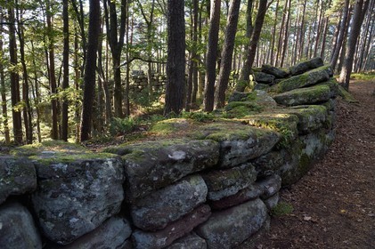 France, Bas-Rhin (67), Mont Saint-Odile, le Mur Païen, vestige d'un mur d'enceinte probablement de l'époque mérovingienne d'une longueur totale de onze kilomètres