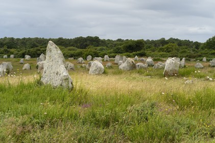 France, Morbihan (56), Carnac, alignement mégalithique du Menec