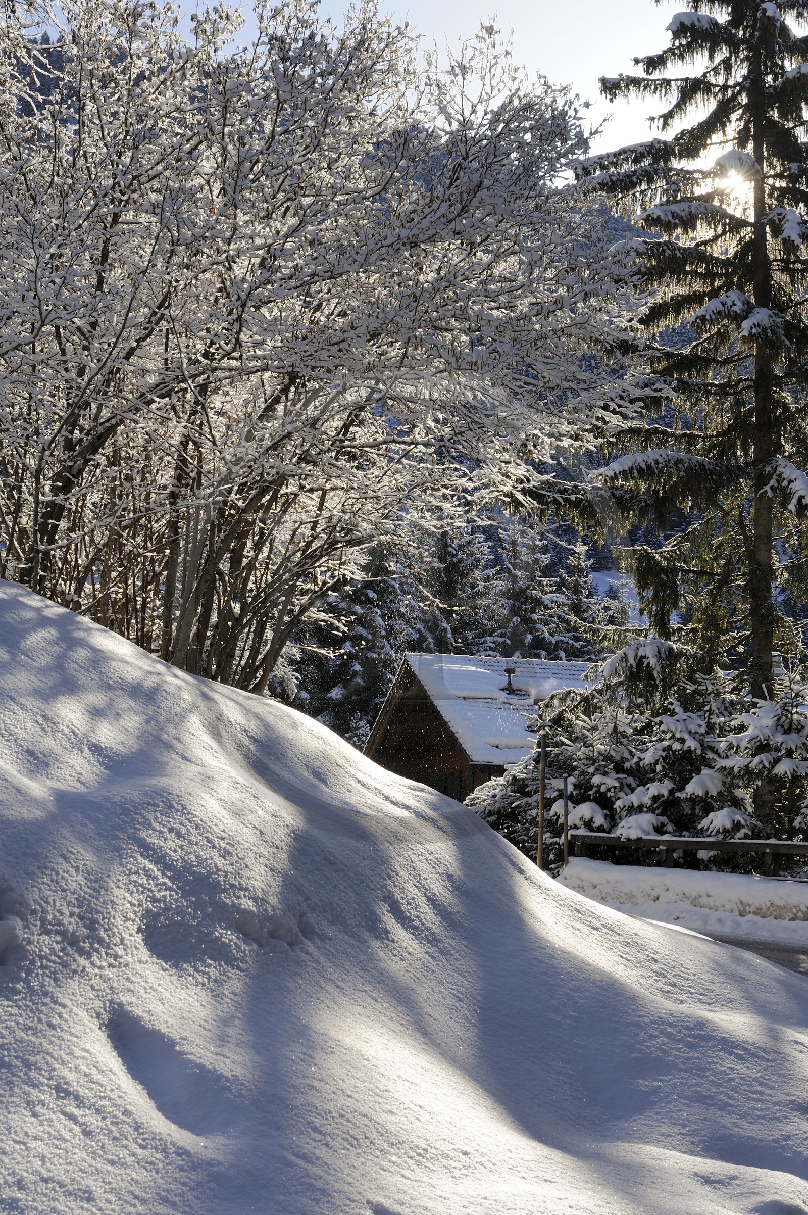 Suisse, Canton de Vaud, Villars sur Ollon, chalet sous la neige