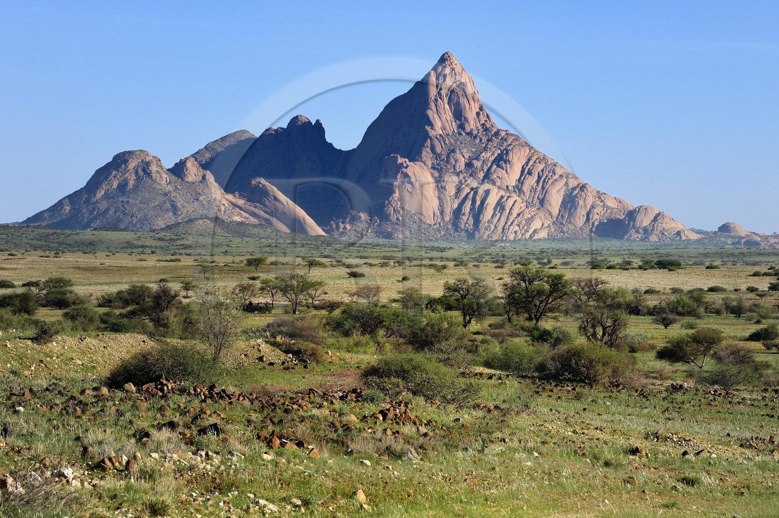 Namibie, région de Erongo, Damaraland, le Petit Spitzkoppe ou Spitzkop (1784 m), montagne granitique dans le désert du Namib