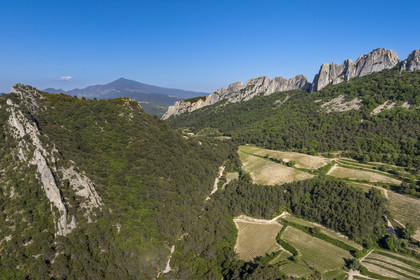 France, Vaucluse (84), Dentelles de Montmirail, Gigondas, la montagne des Dentelles Sarrasines et les vignobles en restanques au col du Cayron, le Mont Ventoux en arrière plan (vue aérienne)