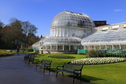 Royaume-Uni, Irlande du Nord, Belfast, la serre tropicale Palm House du jardin botanique de Belfast