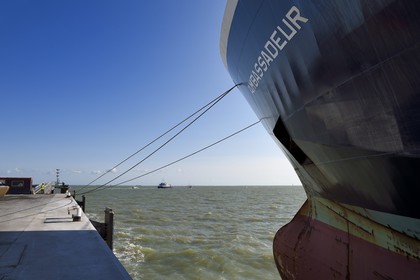 France, Charente-Maritime (17), La Rochelle, le Port Atlantique La Rochelle, port de commerce, quais dépendant de la société Sica Atlantique