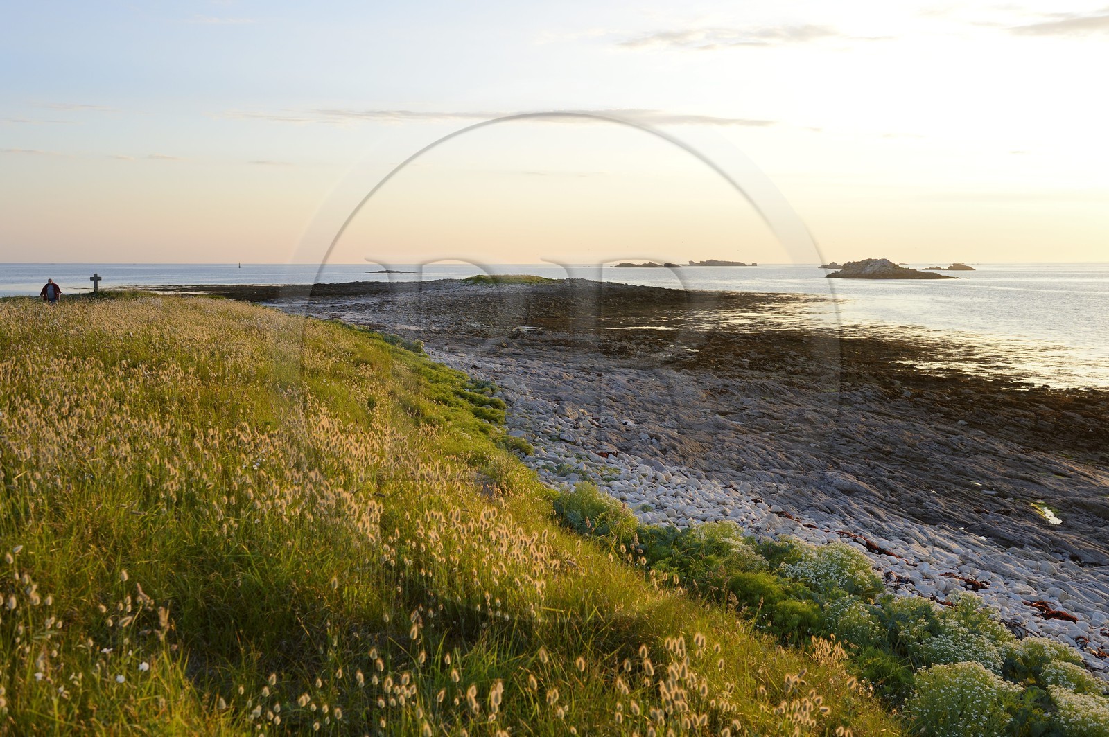 France, Finistère (29), La Foret Fouesnant, archipel des Glénan, Ile Saint-Nicolas, la plage ouest