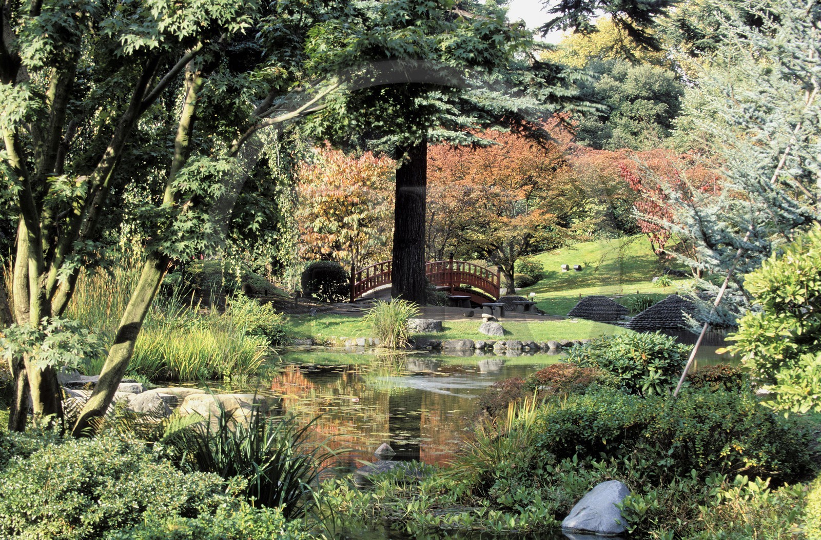 France, Hauts-de-Seine (92), Boulogne-Billancourt, le jardin japonais du musée départemental Albert-Kahn