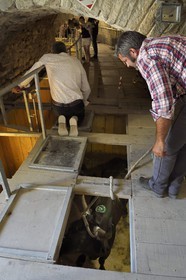 France, Bouches-du-Rhône (13), Arles, les Arènes, amphithéâtre romain de 80-90 après JC, classé Patrimoine Mondial de l'UNESCO, arrivée des taureaux dans le toril situé sous les tribunes