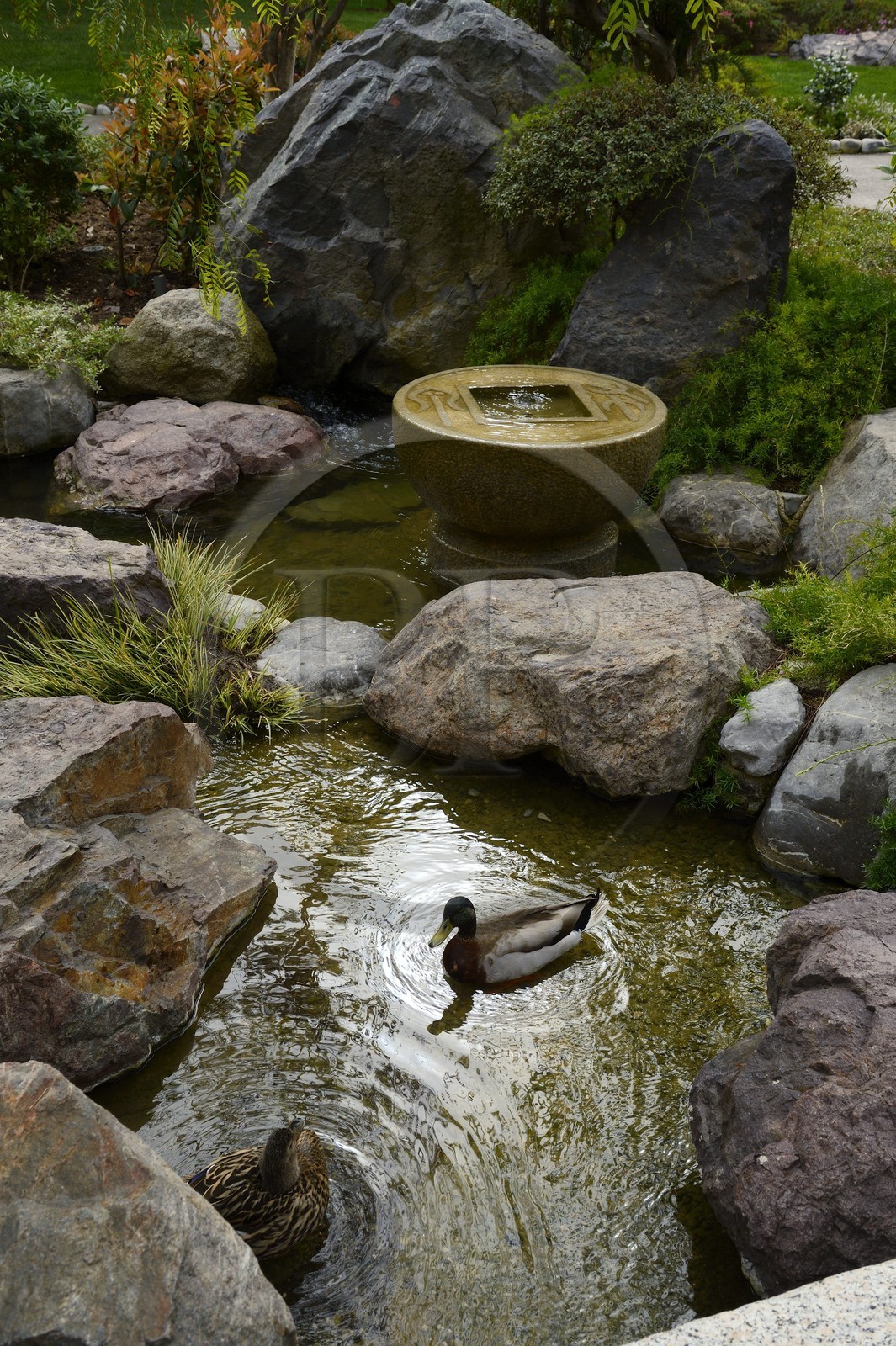 Principauté de Monaco, Monaco, Monte-Carlo, le Jardin Japonais par l'architecte paysagiste Yasuo Beppu