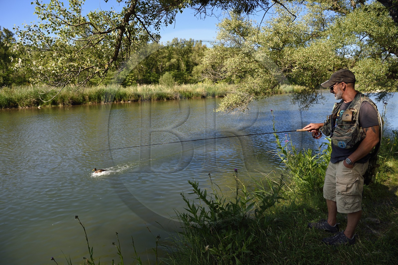 France, Alpes de Haute Provence, Parc Naturel Regional du Verdon (Natural Regional Park of Verdon), Gréoux les Bains, trout fishing on the banks of the Verdon river