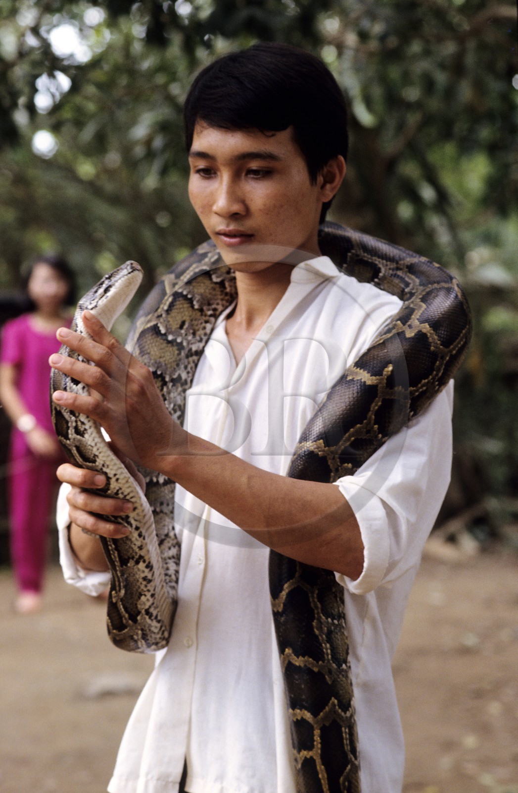 Vietnam, My Tho, the snakes farm