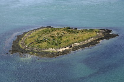 France, Morbihan, Gulf of Morbihan (Golfe du Morbihan), Er Lannic island with a Cromlech megalithic site (aerial view)