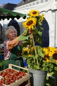 Allemagne, Bade-Wurtemberg, Fribourg en Brisgau, jour de marché sur la Munsterplatz