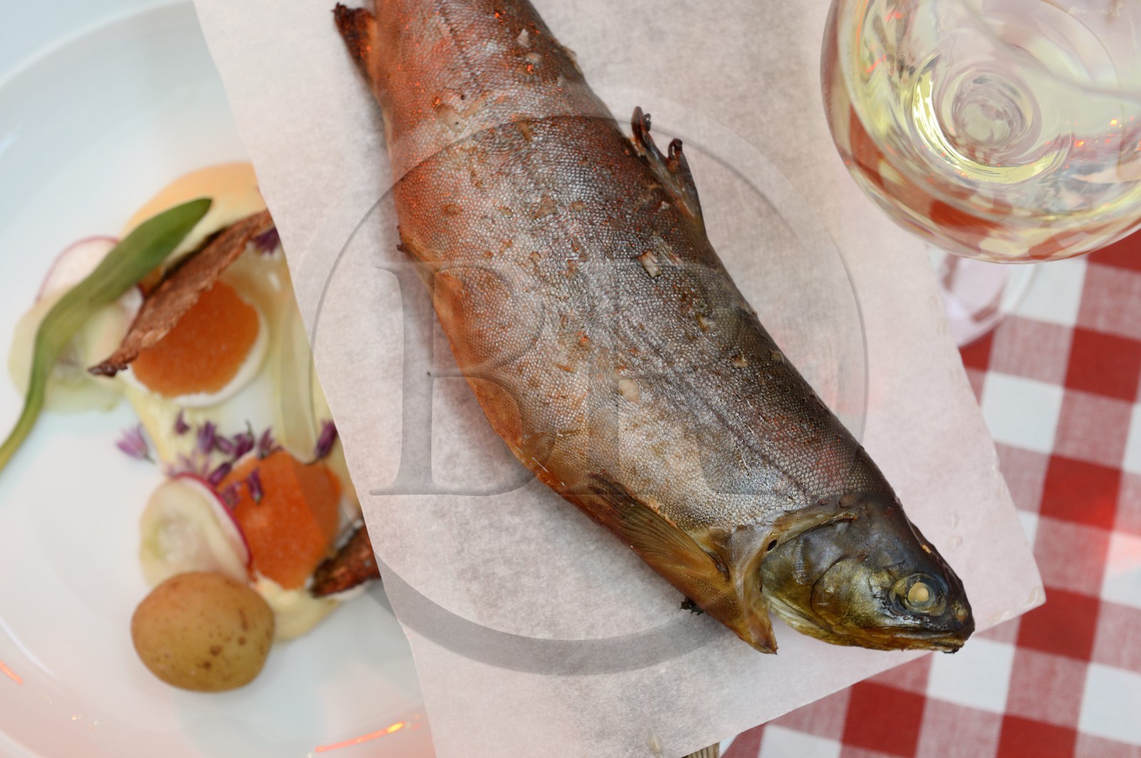 Suède, Comté de Vasterbotten, Umea, omble d'arctique fraichement fumé