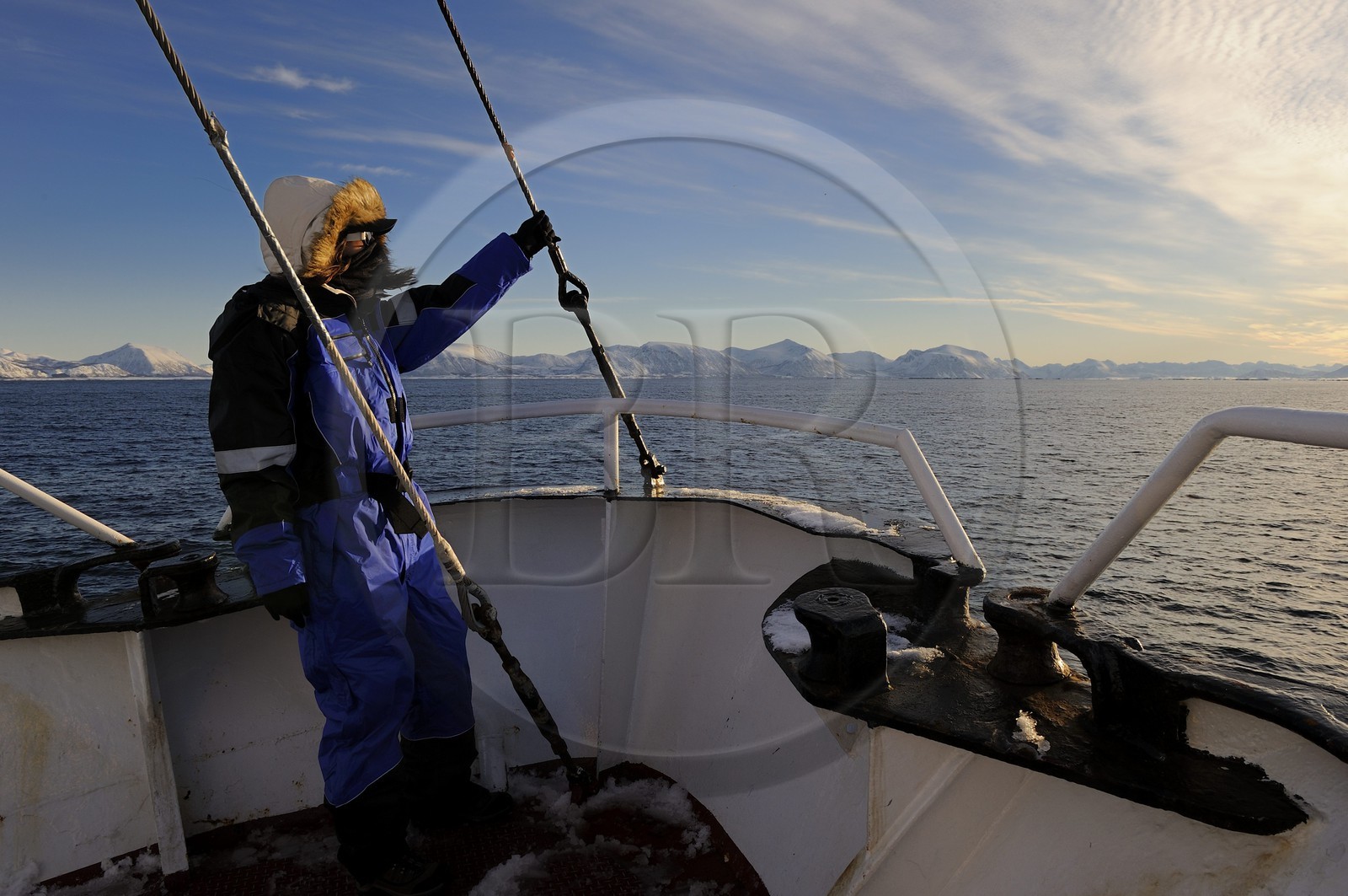 Norway, Nordland County, Vesteralen Islands, Myre area, Leonora Boat for watching whales