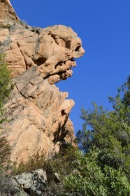 France, Corse-du-Sud (2A), Golfe de Porto, classé Patrimoine Mondial de l'UNESCO, calanches de Piana, rochers de granit rose aux formes fantasmagoriques sur le chemin dit du Chateau-Fort
