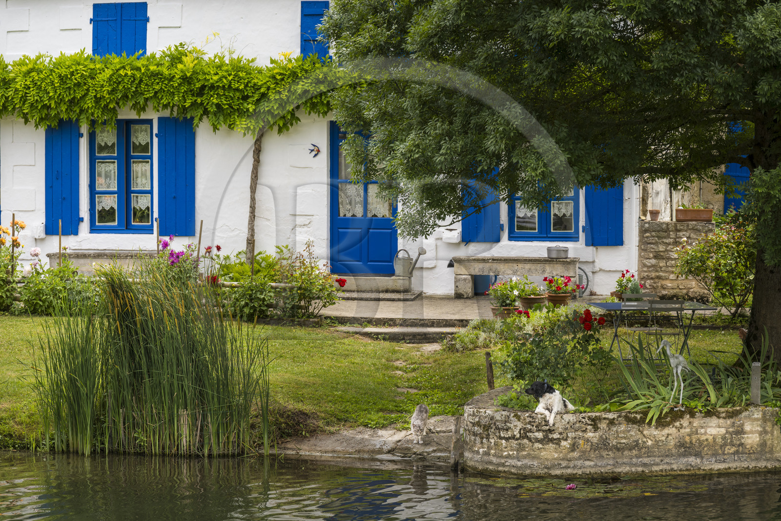France, Deux-Sèvres, le Marais Poitevin, Green Venice, Coulon, typical house of the marsh of Sevre Niortaise River banks