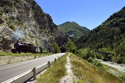 France, Alpes-de-Haute-Provence (04), Entrepierres, le Train des Pignes et le Pont de la Reine Jeanne en arrière plan