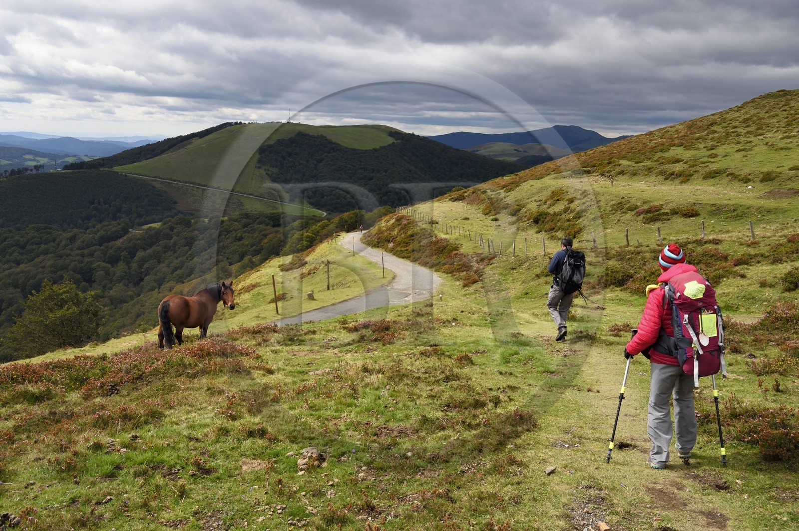 Espagne, Pays-Basque, Navarre, pèlerins sur le chemin de Saint-Jacques de Compostelle au dessus de Roncevaux