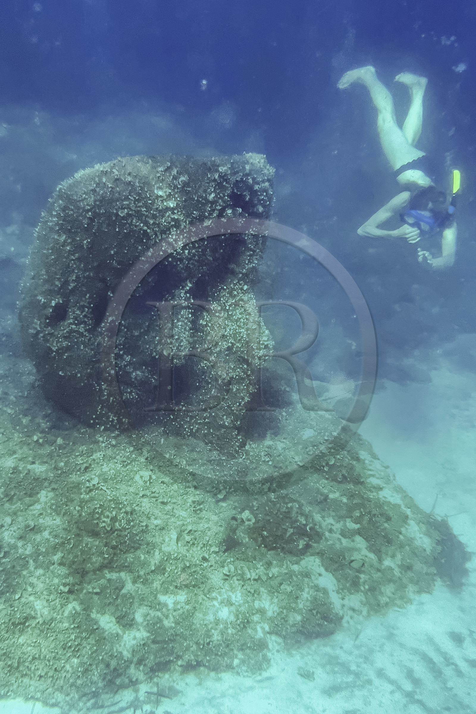 France, Alpes-Maritimes (06), Cannes, Iles de Lérins, Ile Sainte-Marguerite, snorkeling dans l’écomusée sous-marin formé de statues monumentales de l’artiste Jason deCaires Taylor, moulées selon les visages de 6 Cannois et immergées à une distance allant de 84 à 132 mètres du rivage pour une profondeur de 3 à 5 mètres