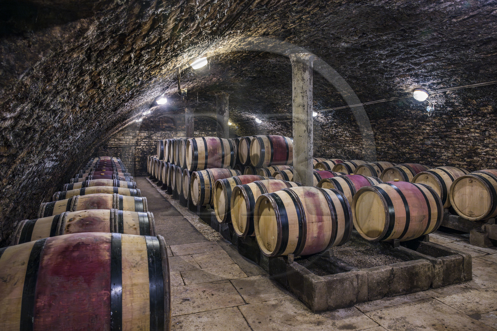 France, Cote d'Or, Climats terroirs of Burgundy listed as World Heritage by UNESCO, Beaune, Maison Champy, the oldest wine trading house in Burgundy, founded in 1720, aging of its wines in barrels in its cellars