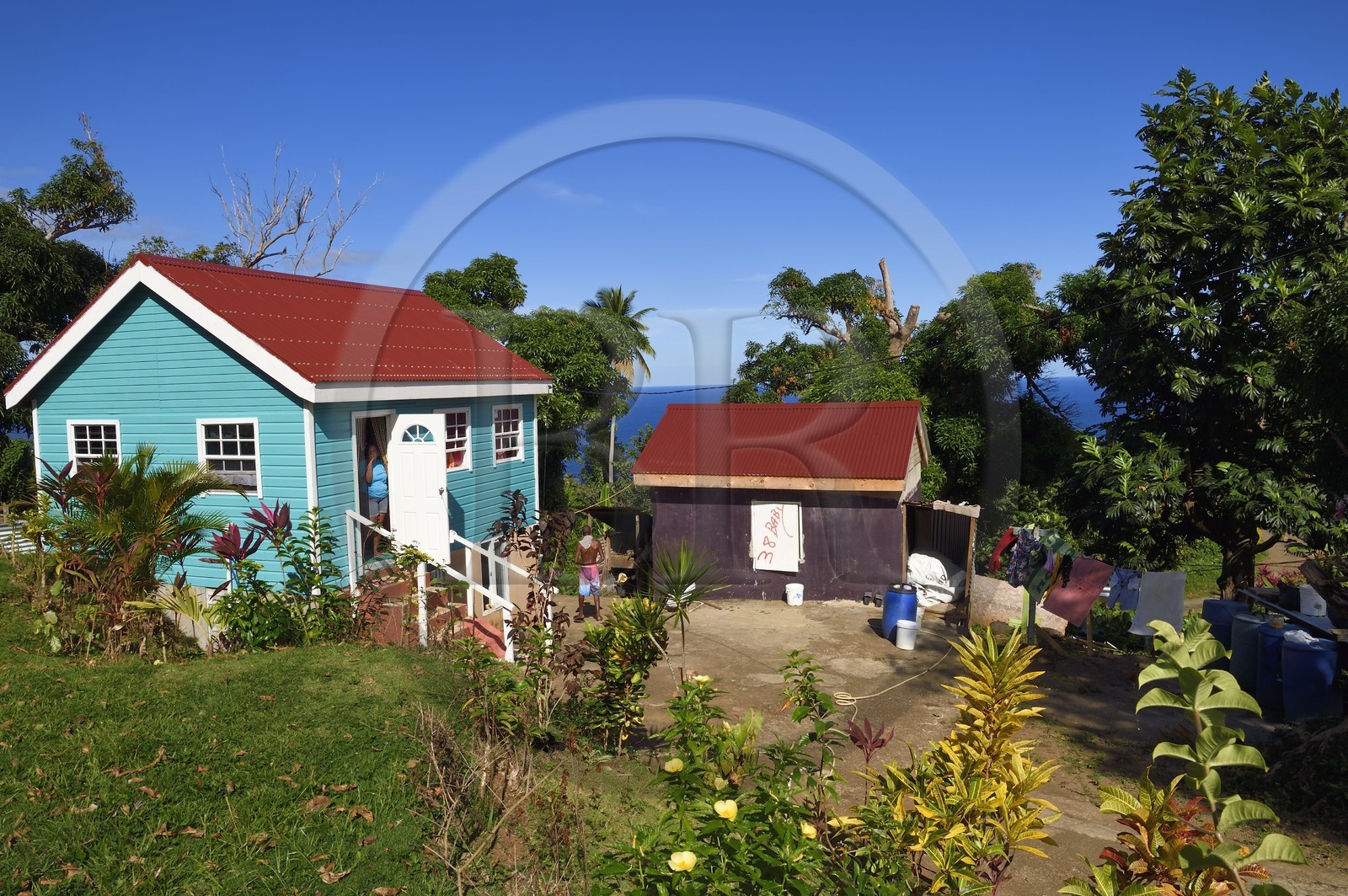 Caraïbes, Ile de la Dominique, Salybia, Territoire Kalinago unique réserve amérindienne de l'archipel des Antilles, maison de famille du village de Bataca