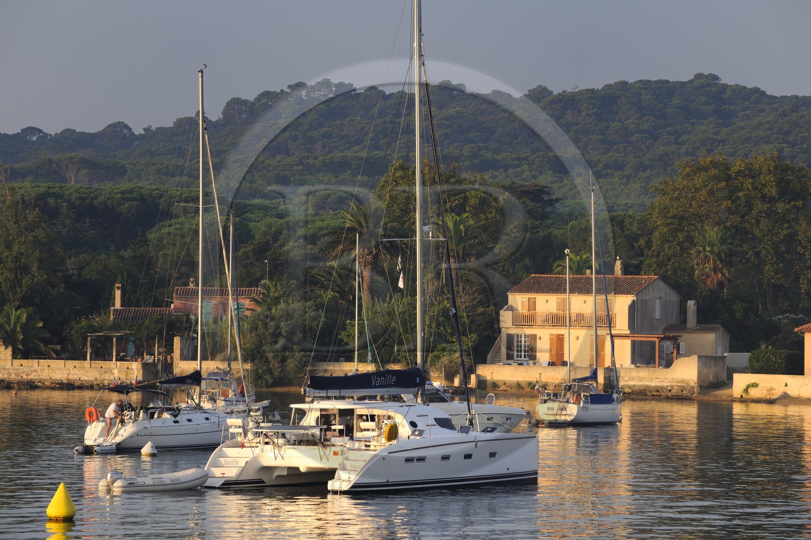 France, Var (83), Iles d'Hyères, parc national de Port-Cros, île de Porquerolles, le port du village