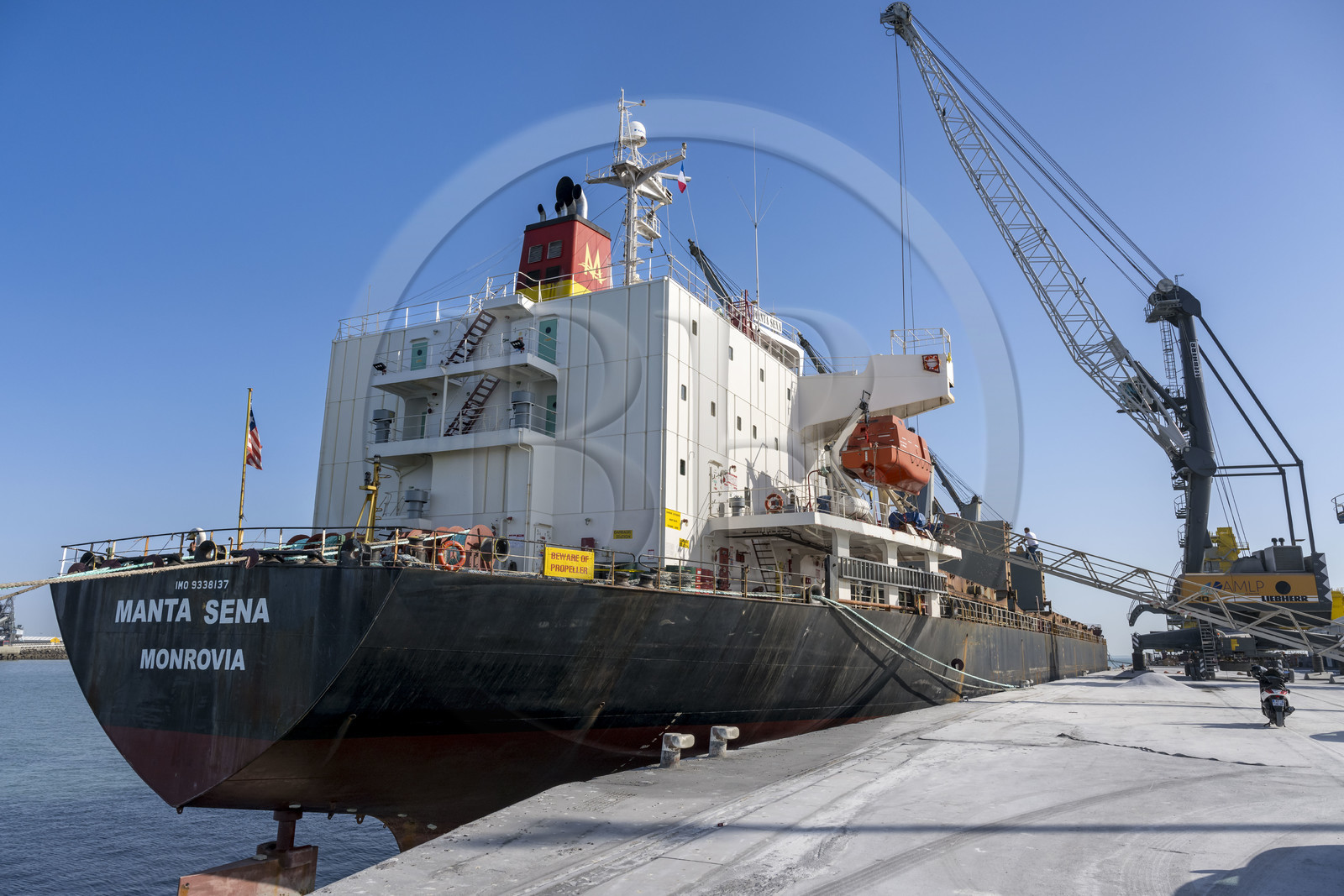 France, Charente-Maritime (17), La Rochelle, le Port Atlantique La Rochelle, port de commerce La Pallice, déchargement d'un cargo sur les quais du mole d'escale
