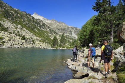 France, Hautes-Pyrénées (65), Saint-Lary-Soulan, Réserve naturelle nationale du Néouvielle, randonnée des lacs du Neouvielle, les Laquettes