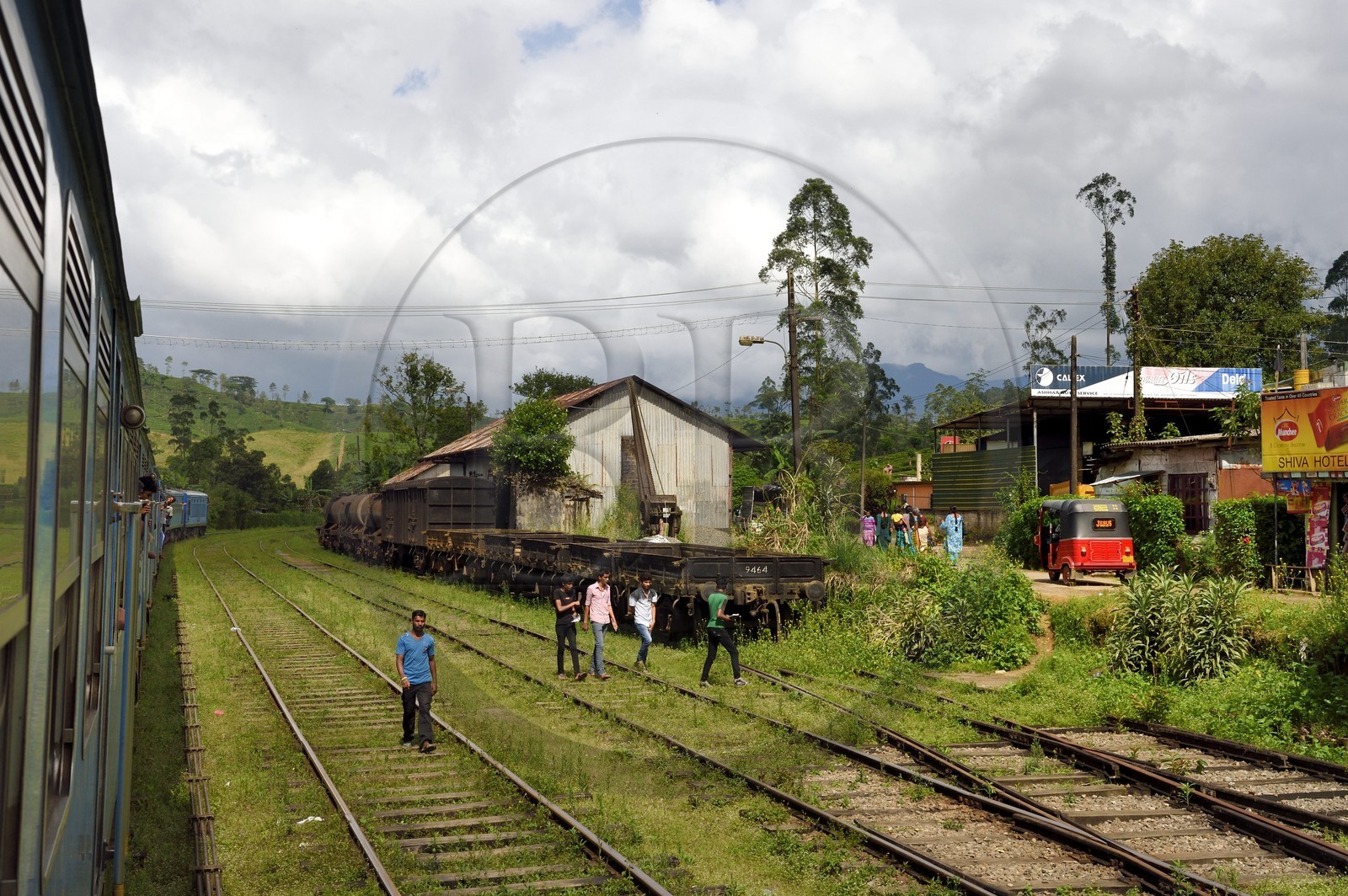 Sri Lanka, Central Province, the popular scenic train ride through the tea growing hill country between Hatton and Badulla, Rotagala train station