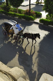 Egypte, Haute Egypte, vallée du Nil, Louxor, calèche