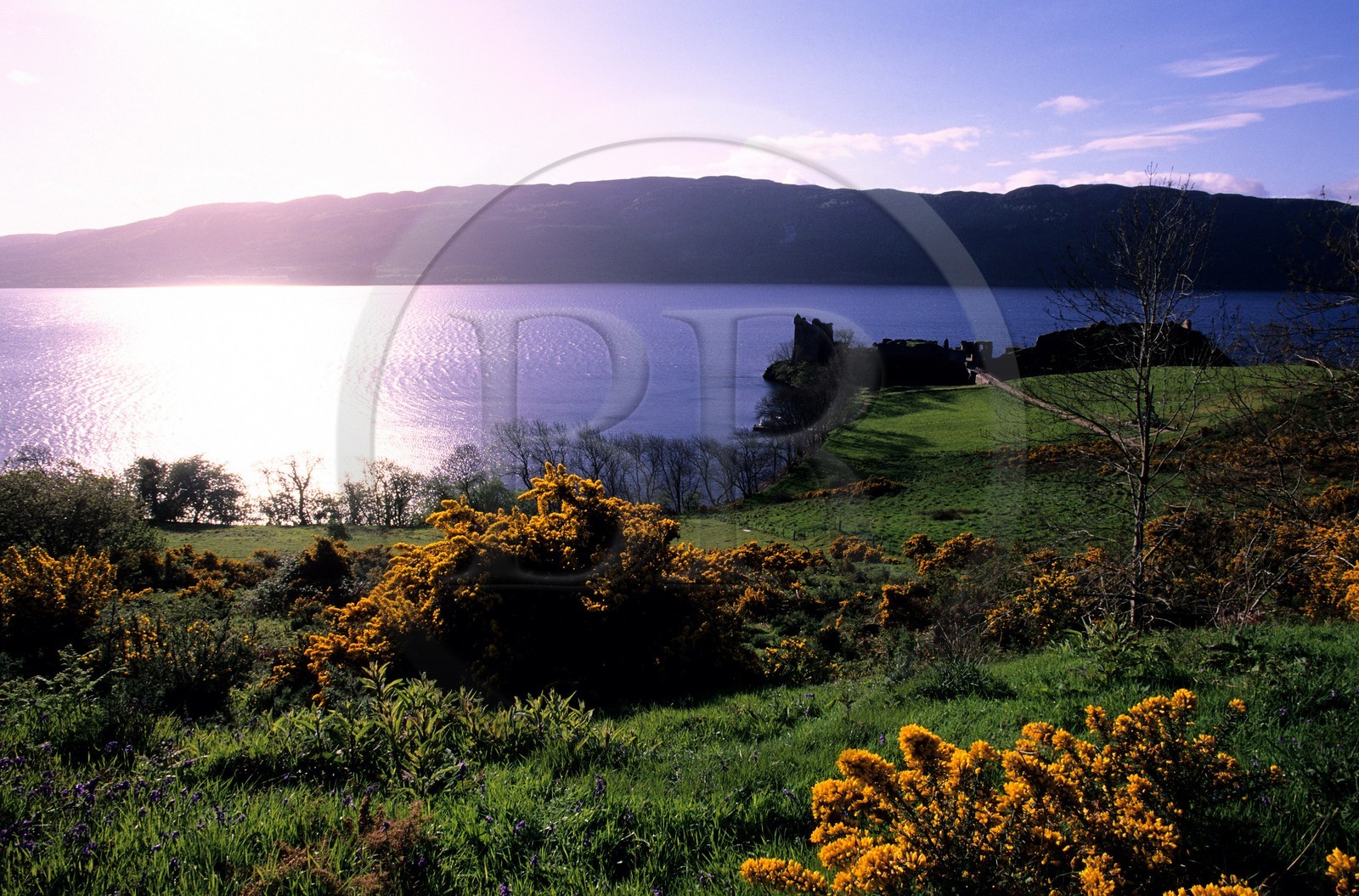 Royaume-Uni, Ecosse, région des Highlands, le Loch Ness et Urquhart Castle