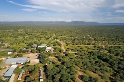 Namibie, Otjiwarongo, Cheetah Conservation Fund, centre de recherche et d'