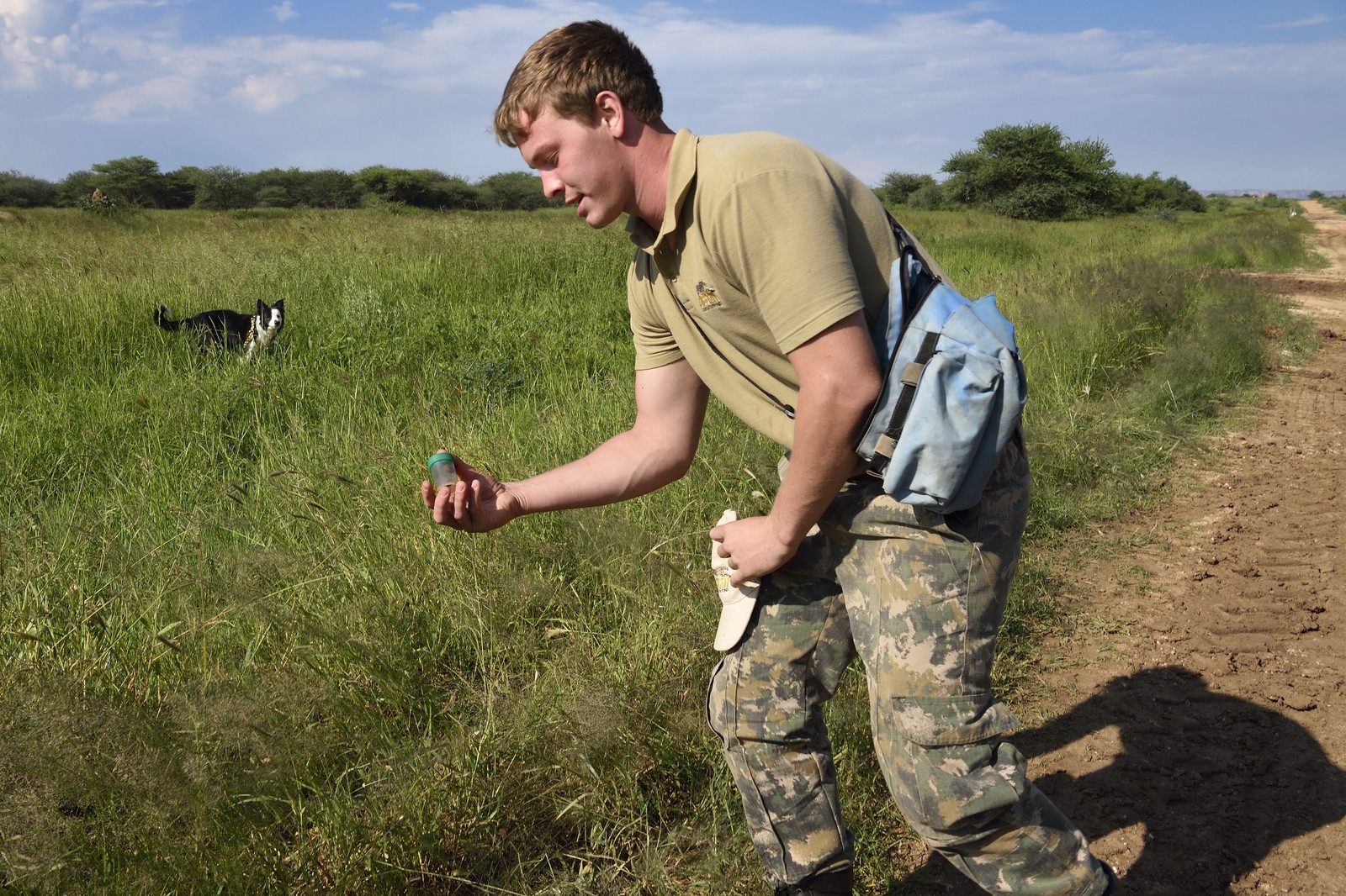 Namibie, Otjiwarongo, Cheetah Conservation Fund, centre de recherche et d'éducation, Quentin de Jager forme son chien à la recherche d'excréments (de guépards et autres) souvent sur les bords des routes aux abords de fermes pour le laboratoire du CCF
