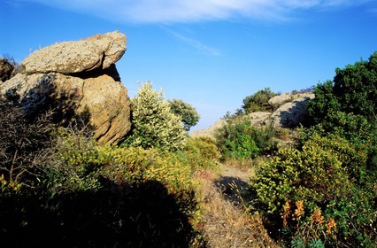 France, Var (83), le massif des Maures