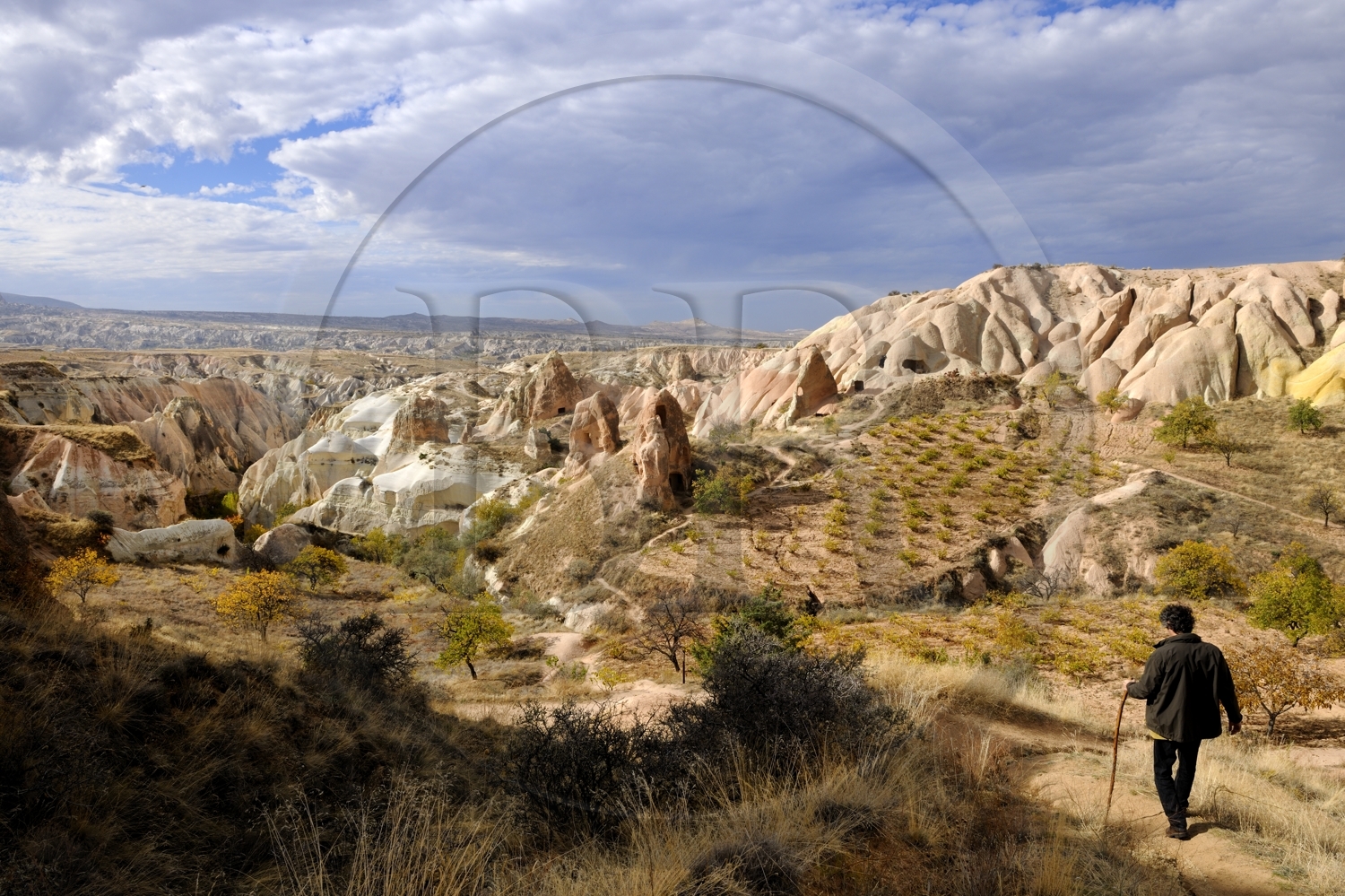 Turquie, Anatolie Centrale, province de Nevsehir, Cappadoce classée Patrimoine Mondial de l'UNESCO, vallon de Kizil Çukur (vallée Rouge) et vignes sur le versant occidental du massif de l'Ak Tepe vers Çavusin