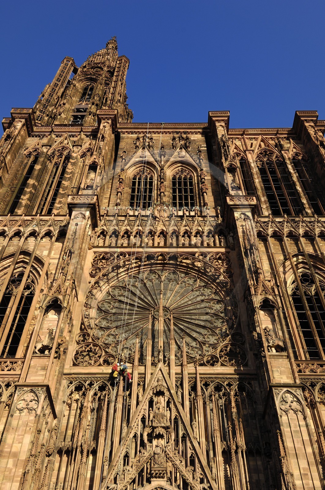 France, Bas Rhin (67), Strasbourg, la cathédrale Notre-Dame, travaux d'entretien sur la facade par des alpinistes en rappel