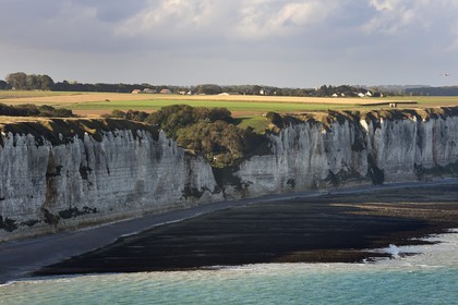 France, Seine-Maritime (76), Pays de Caux, Côte d'Albâtre, Fécamp, falaises au sud de la ville