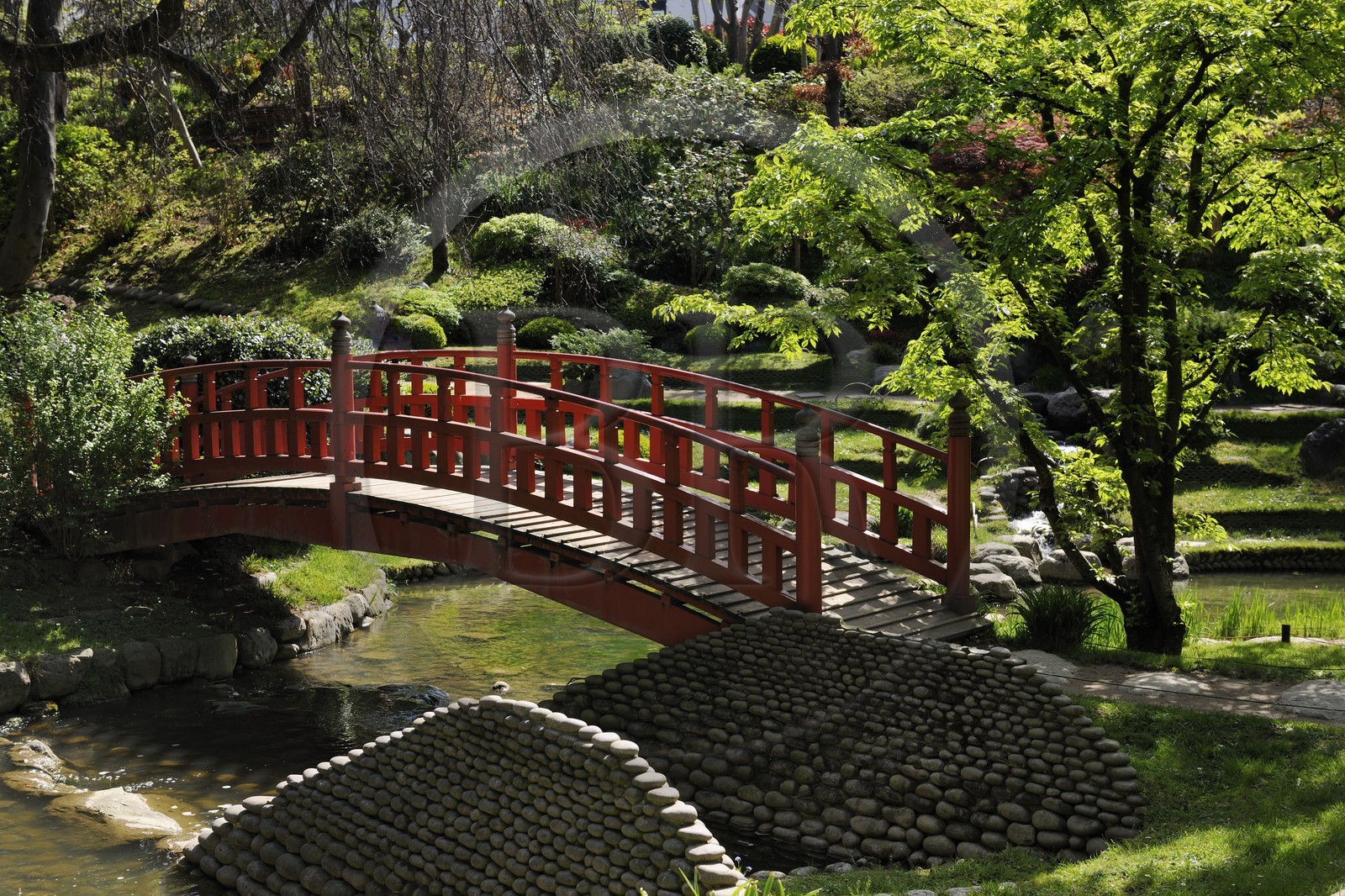 France, Hauts-de-Seine (92), Boulogne-Billancourt, le jardin japonais du musée départemental Albert-Kahn