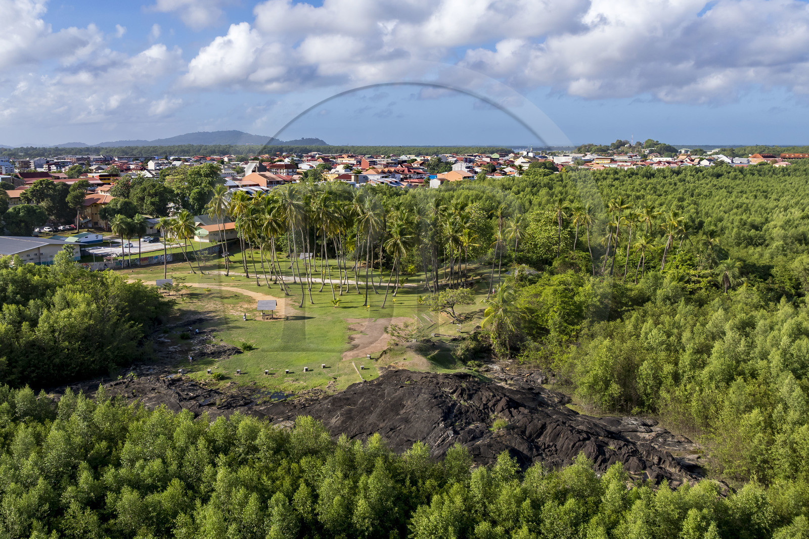 France, French Guiana, Cayenne, Pointe Buzaré, the mangrove (Laguncularia racemosa) surrounds the entire Cayenne peninsula, in a future cyclical period, it will disappear completely to give way once again to the sea (aerial view)