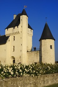 France, Indre et Loire, Chateau du Rivau