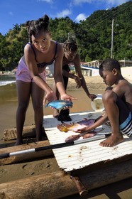 Caribbean, Dominica Island, Soufriere Bay, group of children returning from fishing on Soufrière beach, girl holding a parrotfish (Scaridae)