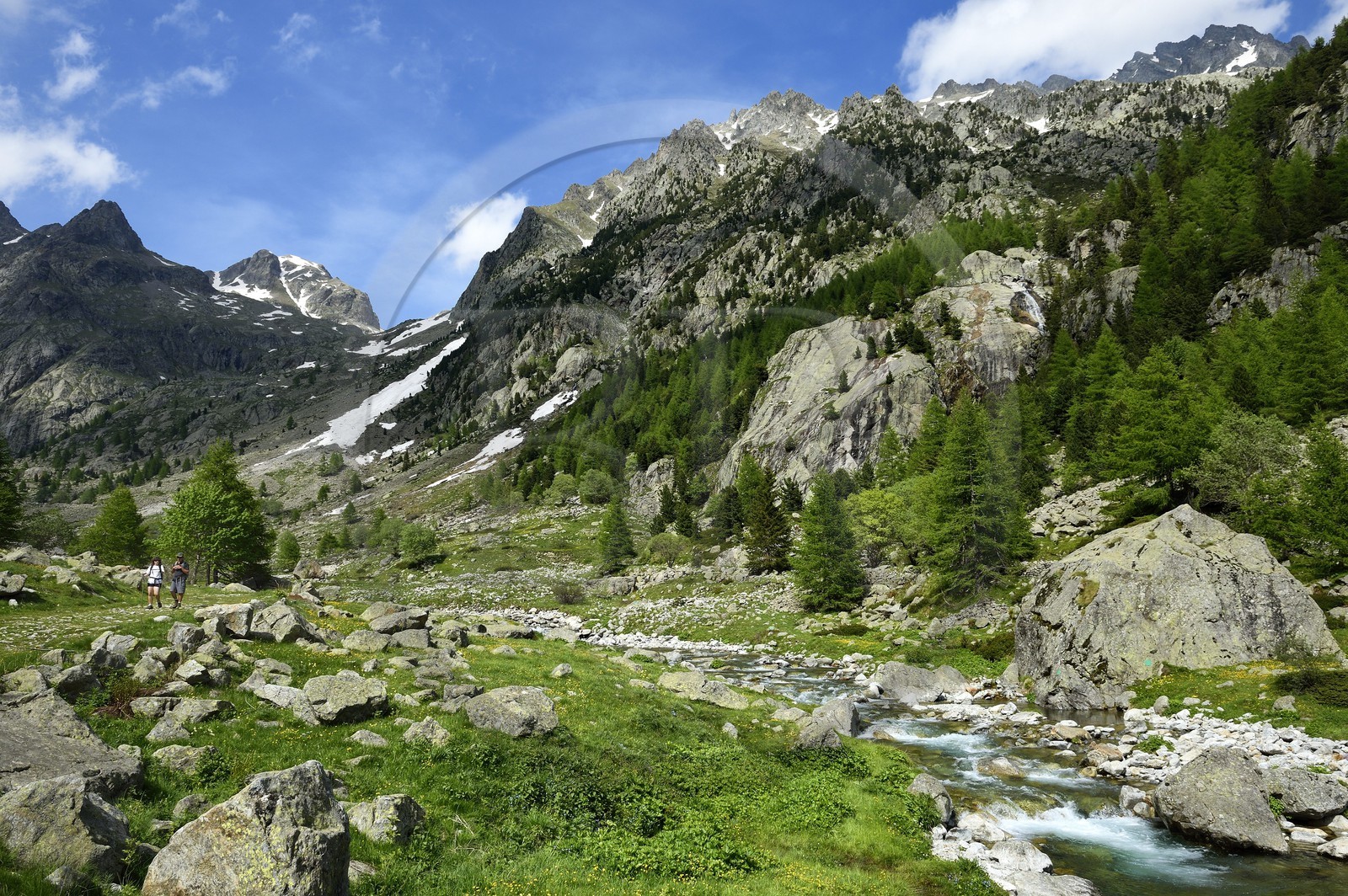 France, Alpes-Maritimes (06), parc national du Mercantour, Haute-Vésubie, vallon de la Gordolasque